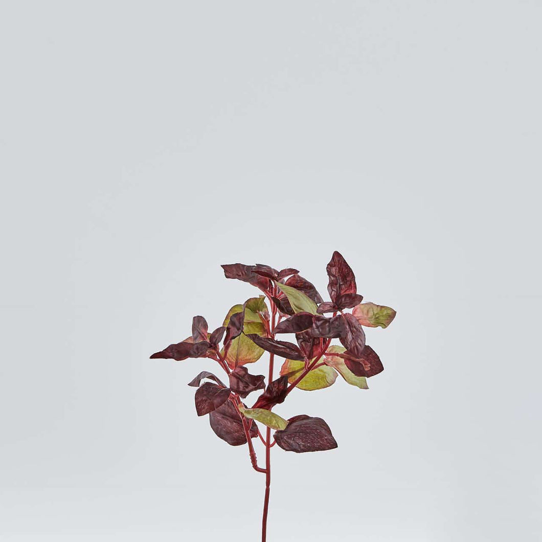 Albahaca Morada Artificial