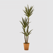 Cargar imagen en el visor de la galería, Planta Yuca Artificial Hiperrealista
