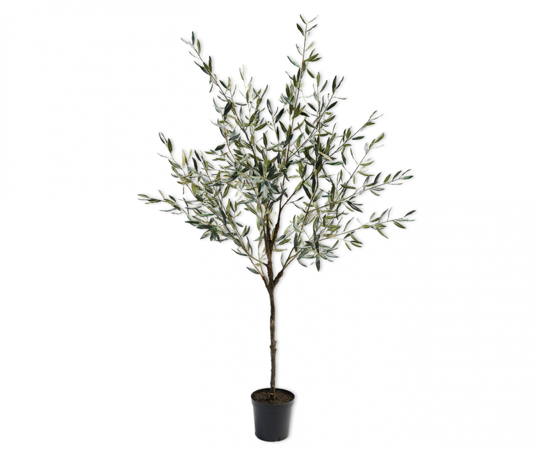 Árbol Olivo Artificial Hiperrealista