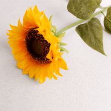 Cargar imagen en el visor de la galería, Girasol
