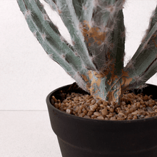 Cargar imagen en el visor de la galería, Cactus Aterciopelado artificial
