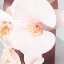 Cargar imagen en el visor de la galería, Orquídeas Hiperrrealistas
