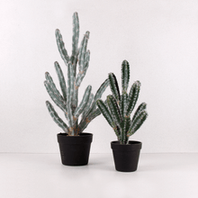 Cargar imagen en el visor de la galería, Cactus Aterciopelado artificial
