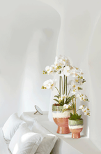 Cargar imagen en el visor de la galería, Orquídea blanca artificial

