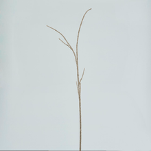 Cargar imagen en el visor de la galería, Rama Coral Pedrería Plateado
