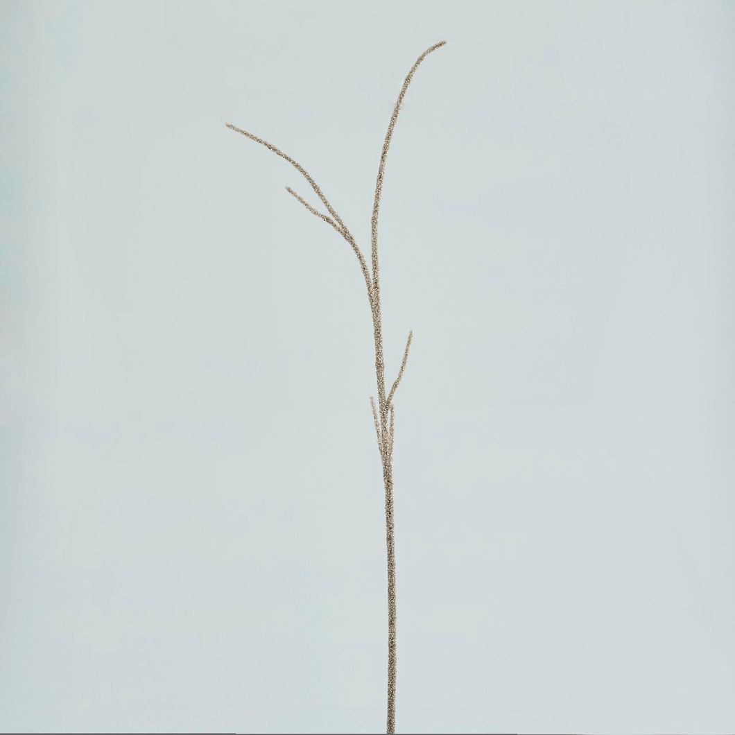 Rama Coral Pedrería Plateado