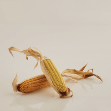 Cargar imagen en el visor de la galería, Mazorca de maíz

