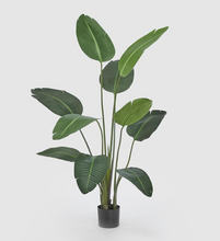 Cargar imagen en el visor de la galería, Planta Strelizia Artificial
