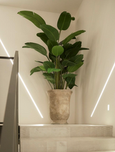 Cargar imagen en el visor de la galería, Planta Strelizia Artificial
