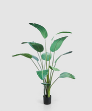 Cargar imagen en el visor de la galería, Planta Strelizia Artificial
