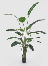 Cargar imagen en el visor de la galería, Planta Strelizia Artificial
