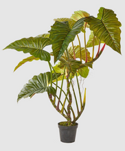 Cargar imagen en el visor de la galería, Planta Alocasia gigante Artificial
