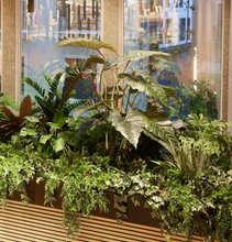Cargar imagen en el visor de la galería, Planta Alocasia gigante Artificial

