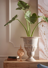 Cargar imagen en el visor de la galería, Planta Alocasia Artificial Hiperrealista
