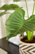 Cargar imagen en el visor de la galería, Planta Alocasia Artificial Hiperrealista

