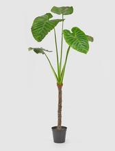 Cargar imagen en el visor de la galería, Planta Alocasia Artificial Hiperrealista
