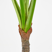 Cargar imagen en el visor de la galería, Planta Alocasia Artificial Hiperrealista
