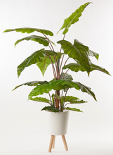 Cargar imagen en el visor de la galería, Plantas Alocasias Artificiales
