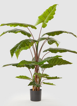 Cargar imagen en el visor de la galería, Plantas Alocasias Artificiales
