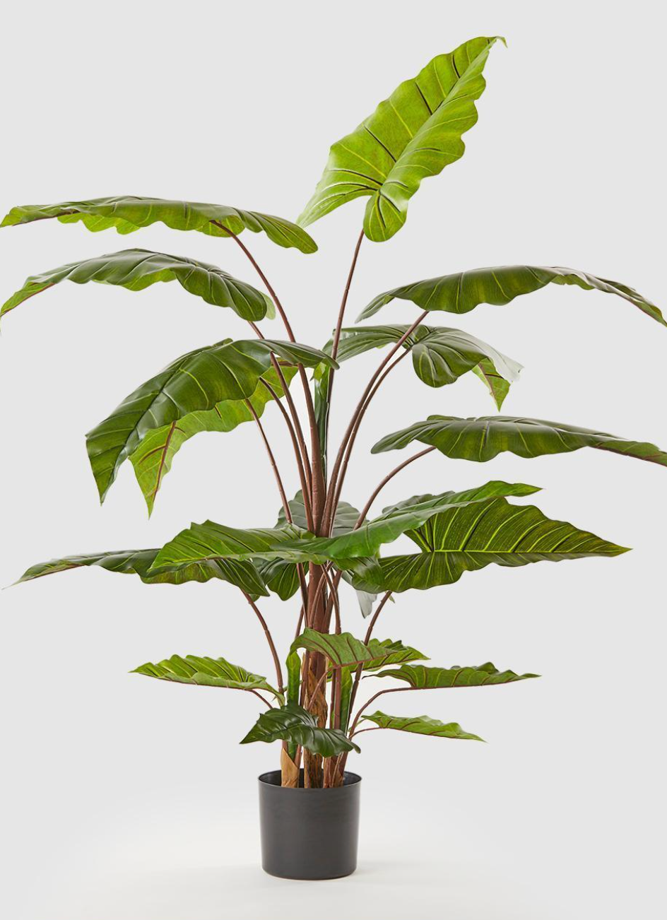 Plantas Alocasias Artificiales