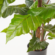 Cargar imagen en el visor de la galería, Plantas Alocasias Artificiales
