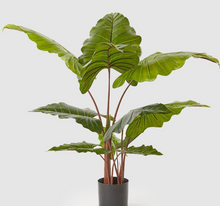 Cargar imagen en el visor de la galería, Plantas Alocasias Artificiales
