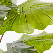 Cargar imagen en el visor de la galería, Plantas Alocasias Artificiales
