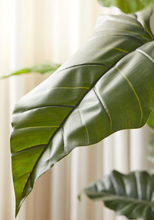 Cargar imagen en el visor de la galería, Plantas Alocasias Artificiales
