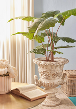Cargar imagen en el visor de la galería, Plantas Alocasias Artificiales
