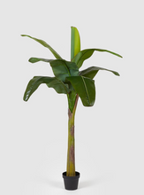 Cargar imagen en el visor de la galería, Planta Banano Artirifical
