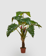 Cargar imagen en el visor de la galería, Planta Alocasia gigante Artificial
