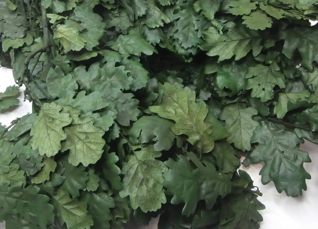 Roble Preservado