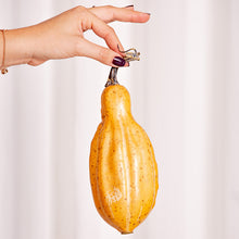 Cargar imagen en el visor de la galería, Decoco Productos Calabaza Alargada 4
