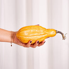 Cargar imagen en el visor de la galería, Decoco Productos Calabaza Alargada 5
