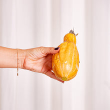 Cargar imagen en el visor de la galería, Decoco Productos Calabaza Alargada 6
