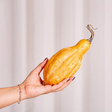 Cargar imagen en el visor de la galería, Decoco Productos Calabaza Alargada

