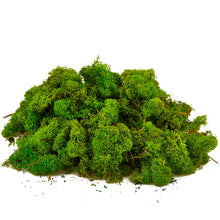 Cargar imagen en el visor de la galería, Musgo Blanco
