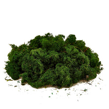 Cargar imagen en el visor de la galería, Musgo Blanco
