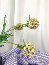 Cargar imagen en el visor de la galería, Decoco Producto Inspo Scabiosa 2
