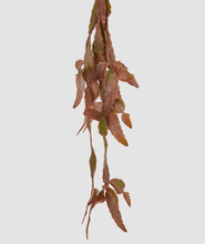 Cargar imagen en el visor de la galería, Epiphyllum Artificial
