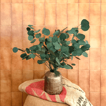 Cargar imagen en el visor de la galería, Eucaliptus Populus Verde 3
