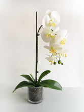 Cargar imagen en el visor de la galería, Orquídea blanca artificial
