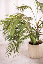 Cargar imagen en el visor de la galería, Web Decoco Productos Areca Triple
