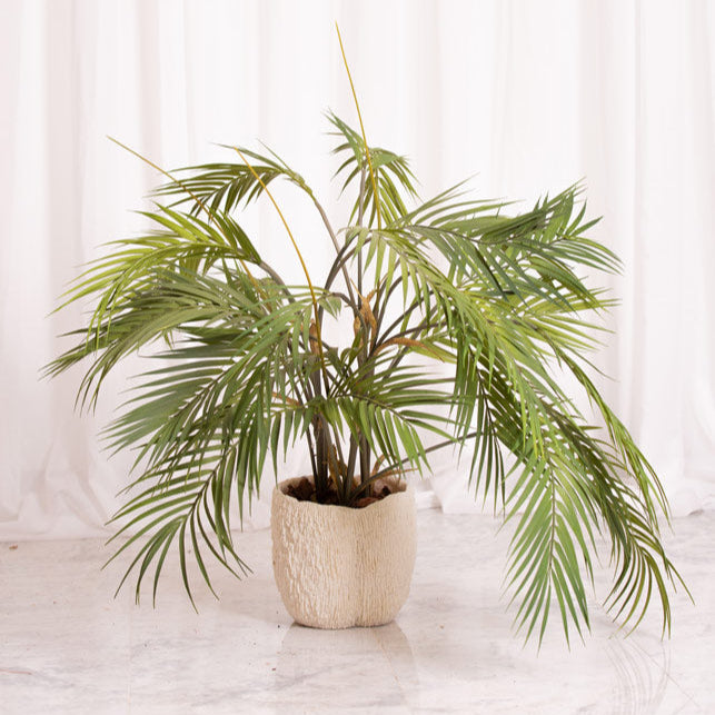 Web Decoco Productos Areca Triple 3