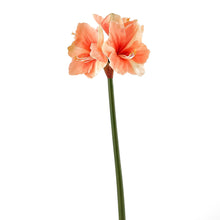 Cargar imagen en el visor de la galería, Amaryllis Artificiales
