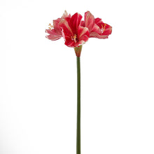Cargar imagen en el visor de la galería, Amaryllis Artificiales
