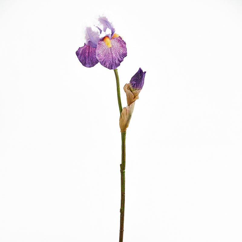 Iris Aritificial