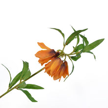 Cargar imagen en el visor de la galería, Fritillaria Artificial Naranja
