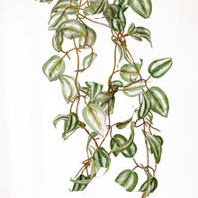 Cargar imagen en el visor de la galería, Tradescantia artificial colgante

