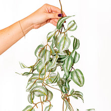 Cargar imagen en el visor de la galería, Tradescantia artificial colgante
